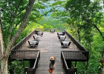 Kafe bernuansa alam hijau di Poncokusumo. Foto/Pinterest