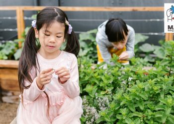 Informasi tata cara registrasi acara internasional Malang Autism Summit 2024. /Foto: Pexels.com/RDNE Stock Project.