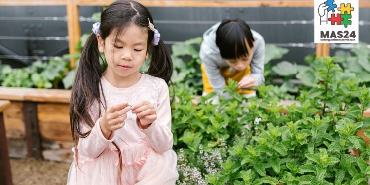 Informasi tata cara registrasi acara internasional Malang Autism Summit 2024. /Foto: Pexels.com/RDNE Stock Project.