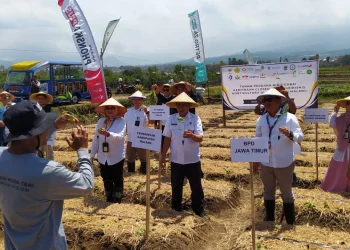 Pencuri,Pecahkan kaca mobil,Gasak surat penting - Pecahkan Kaca Mobil, Pencuri di Pakisaji Gasak Surat Berharga dan Uang Tunai Rp2 Juta