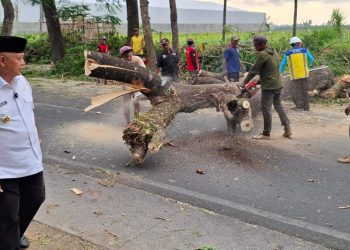 Gondanglegi-Balekambang