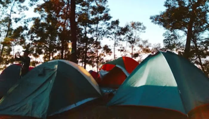 Budug Asu Camp