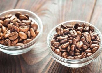 kopi