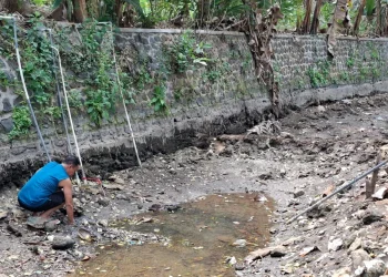 Sumber Umbul Sengkaring