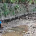 Sumber Umbul Sengkaring