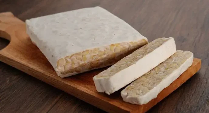 Makanan fermentasi