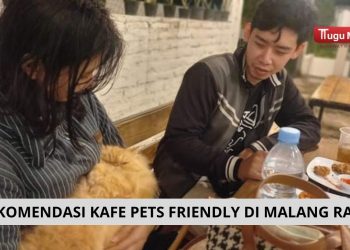 Cocok Buat Pecinta Anabul, Rekomendasi Kafe Pets Friendly di Malang Raya Bikin Nongkrong Semakin Seru