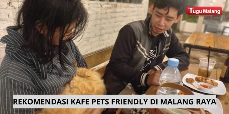 Rekomendasi kafe pets friendly di Malang Raya yang bisa menjadi referensi bagi para pecinta anabul./Foto: Google Review Meow Cat Cafe Malang.