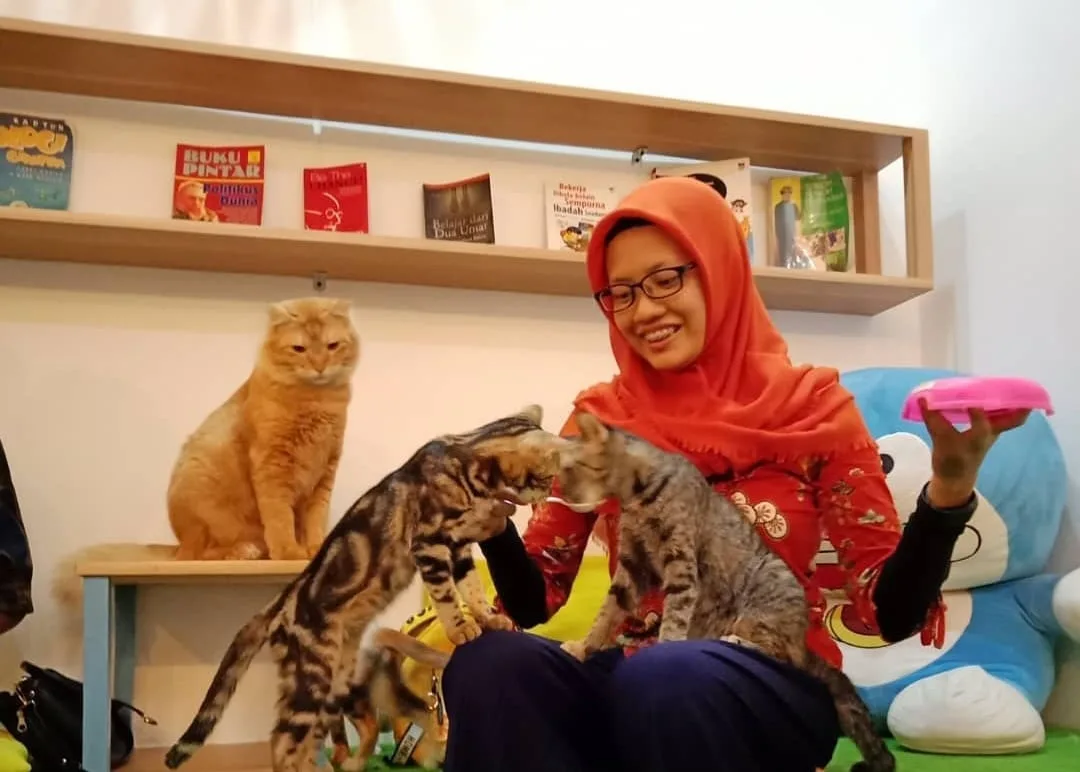 Neko Kepo 