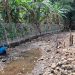 Sumber Umbul Sengkaring di Desa Tulungrejo mengering. Foto: Aisyah Nawangsari Putri