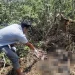 Lokasi penemuan mayat di Tumpang. Foto: Polsek Tumpang