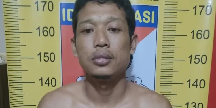 Tersangka curanmor M Hasim usai diamankan di Mapolsek Singosari. Foto: Polsek Singosari