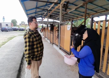 CEO Tugu Media Group, Irham Thoriq berdiskusi dengan Hippotherapist, Atiqah tentang terapi berkuda./Foto: Tugumalang.id/Bagus Rachmad Saputra.