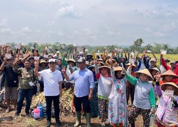 Para petani di Kecamatan Pakis menunjukkan dukungan pada Abah Gunawan. Foto: Tim Pemenangan Gus