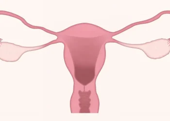Ilustrasi kanker serviks yang banyak diderita oleh banyak perempuan di seluruh dunia. Foto/Pixabay