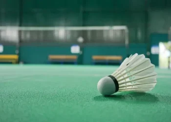 Ilustrasi lapangan badminton berstandar BWF untuk event nasional maupun Internasional di Malang. Foto/pinterest