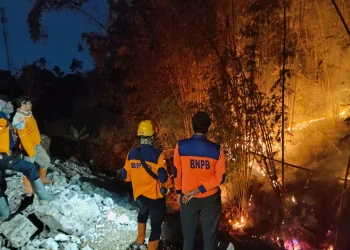 Kebakaran di Kota Batu
