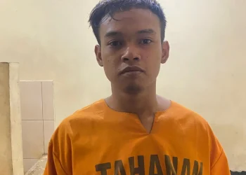 MENCURI KOtak Amal