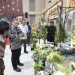 Batu Shining Orchid Week 2024