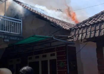 terbakar