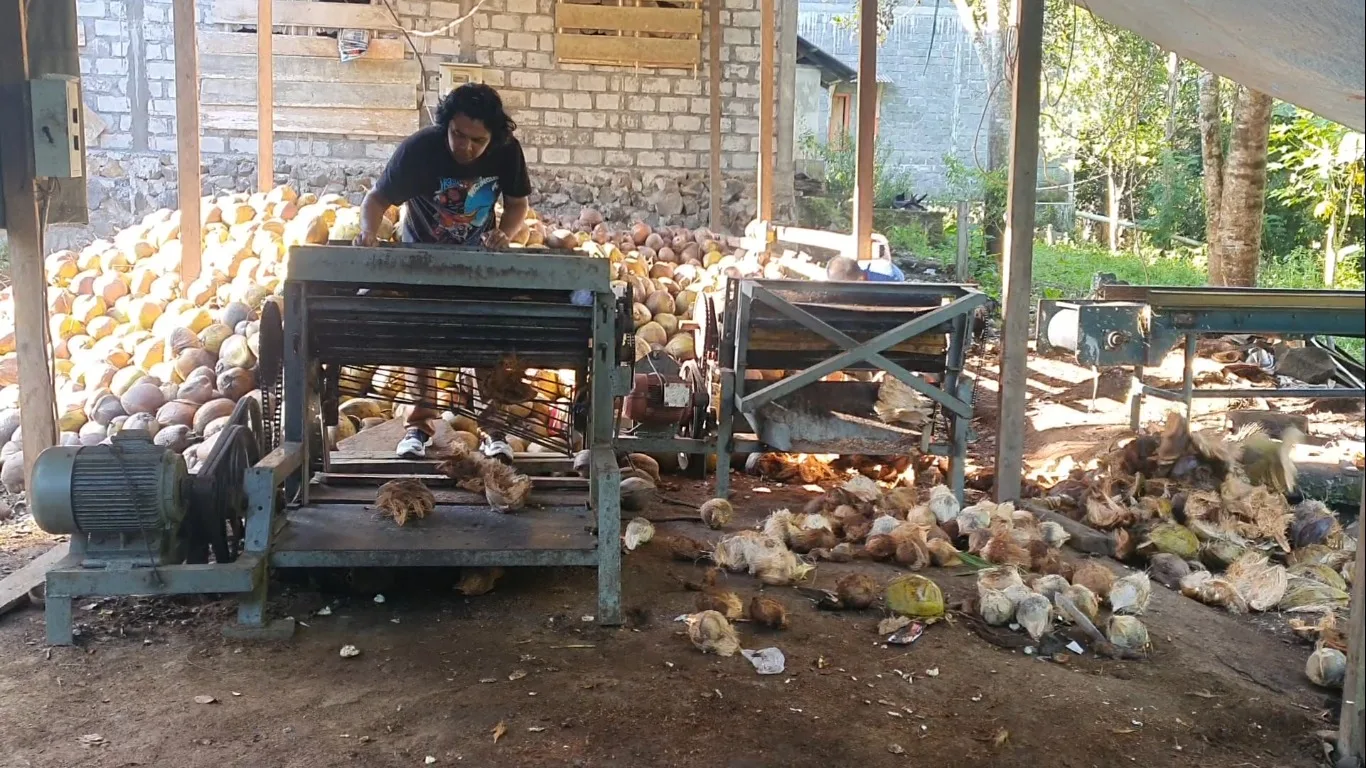 Mesin pengupas sabut kelapa