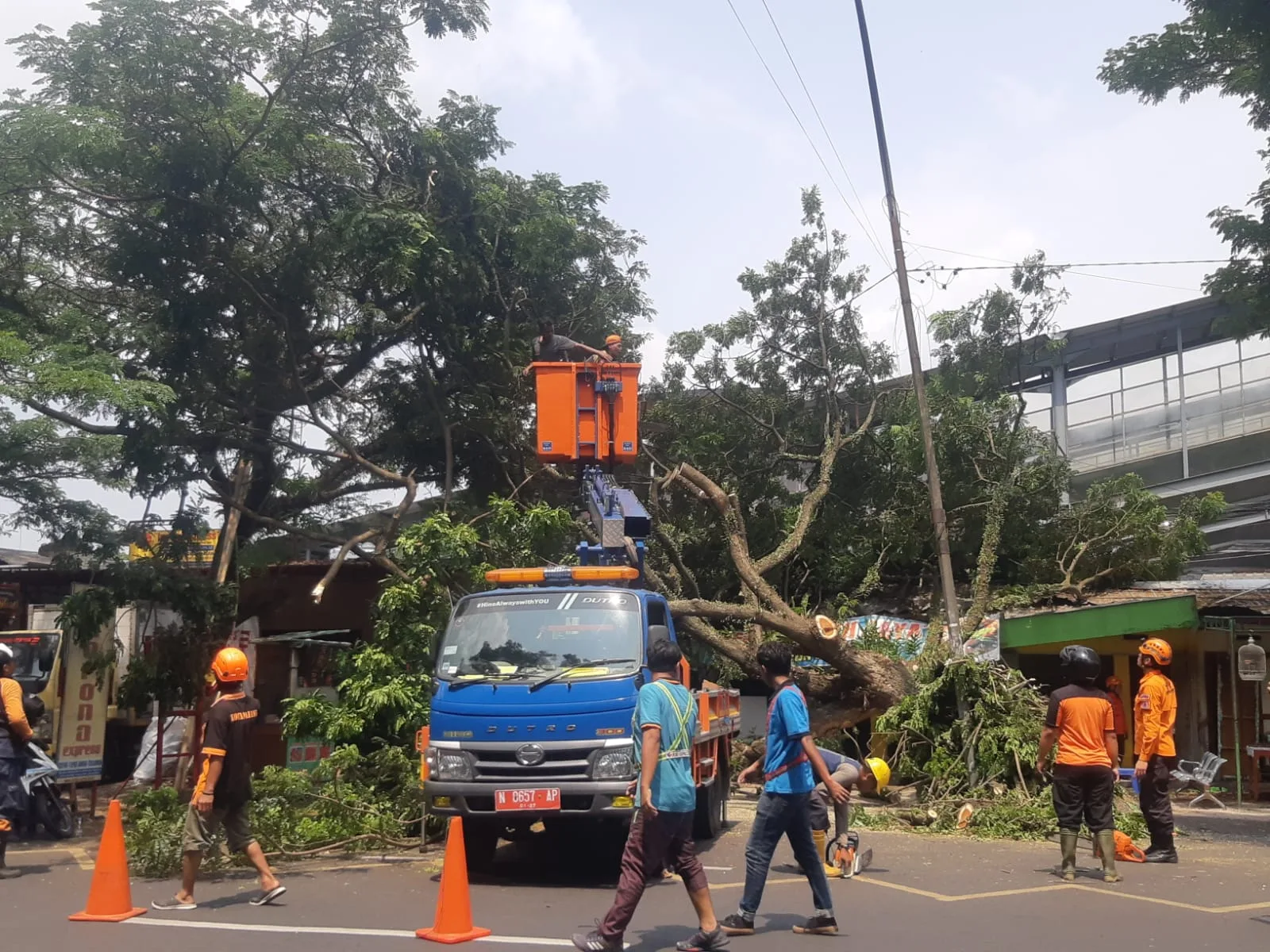 Petugas evakuasi pohon tumbang.