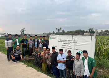 GP Ansor Desa Pagedangan membuka lahan pertanian. Foto/fok for TM