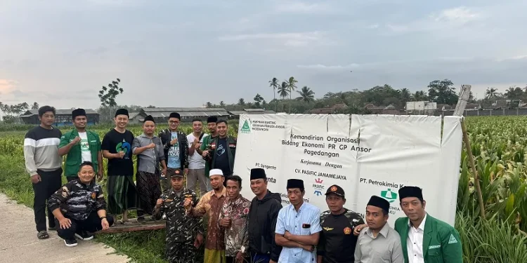 GP Ansor Desa Pagedangan membuka lahan pertanian. Foto/fok for TM