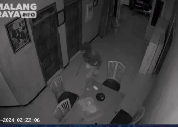 Aksi pencurian terekam kamera CCTV. Foto: tangkapan layar