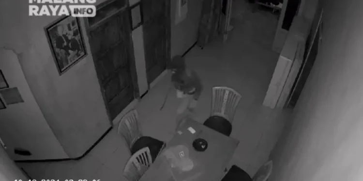 Aksi pencurian terekam kamera CCTV. Foto: tangkapan layar