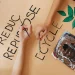 Berkolaborasi bersama Kaliku, Fakultas Psikologi UM gelar program Green Explorer kenalkan pendidikan lingkungan kepada siswa./Foto: Pexels.com/Kaboopics.com