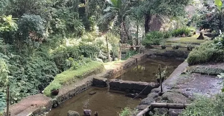 Situs Petirtaan Ngawonggo peninggalan Empu Sindok yang terletak di desa Ngawonggo Kecamatan Tajinan Malang. Foto/on Google maps