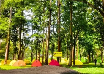 Wisata Taman Merak Pujon yang cocok bagi wisatawan yang ingin menikmati panorama keindahan alam sembari camping. /Foto: Instagram @tamanmerakpujon.