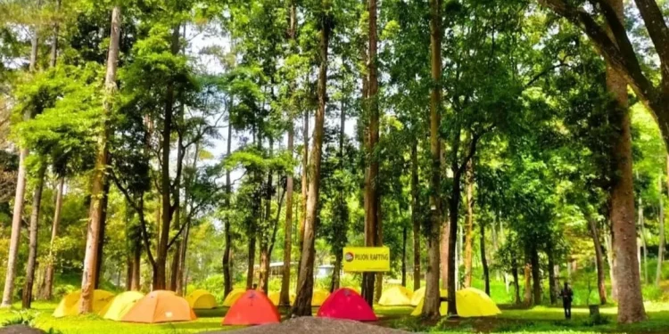 Wisata Taman Merak Pujon yang cocok bagi wisatawan yang ingin menikmati panorama keindahan alam sembari camping. /Foto: Instagram @tamanmerakpujon.