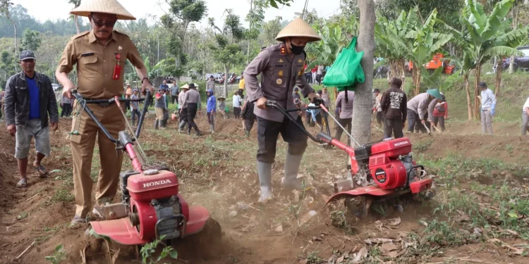 Pembajakan tanah lahan tidur menjadi lahan produktif oleh Kapolres Batu AKBP Andi Yudha Pranata dan Dinas Pertanian. Foto: Azmy