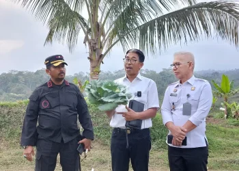 Pembimbing Kemasyarakatan Ditjenpas, Junaedi didampingi Kadivpas Jatim, Heri Azhari dan Kalapas Malang, Ketut Akbar Herry Achjar meninjau hasil pertanian Sarana Asimilasi Edukasi Lapas Kelas I Malang. (Foto/dok.)