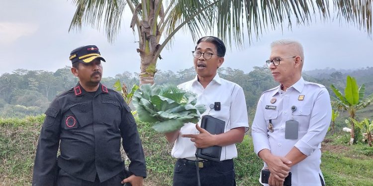 Pembimbing Kemasyarakatan Ditjenpas, Junaedi didampingi Kadivpas Jatim, Heri Azhari dan Kalapas Malang, Ketut Akbar Herry Achjar meninjau hasil pertanian Sarana Asimilasi Edukasi Lapas Kelas I Malang. (Foto/dok.)