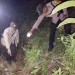 Polisi melakukan olah TKP duel carok di Dampit. Foto: Polres Malang