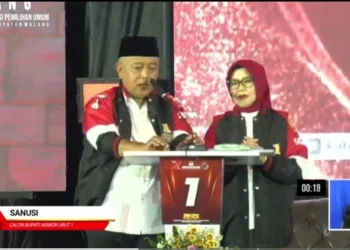 cek Fakta