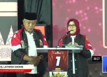 cek fakta