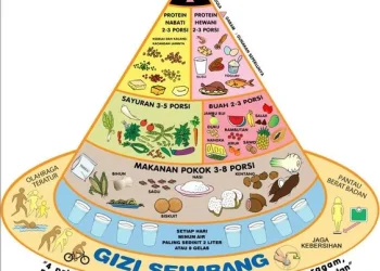 Gizi Seimbang
