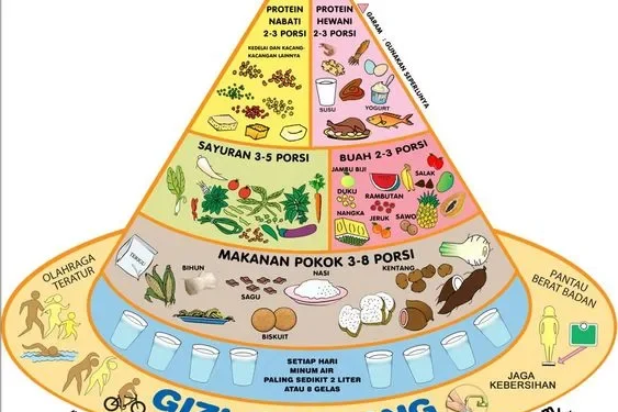 Gizi Seimbang