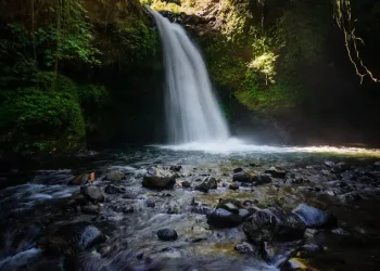 Pesona Coban Jidor menawarkan keindahan alam yang masih terjaga secara alami./Foto: Google Review Coban Jidor/Rizkie Kurniawan