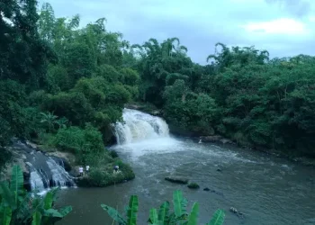 Daya tarik Coban Amprong, salah satu destinasi wisata hidden gem di Malang. /Foto: Google Review Coban Amprong/Abdul Sany.