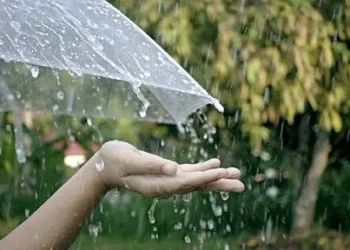 Ciri-ciri dan persiapan ketika musim hujan. Foto/Pinterest.