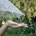 Ciri-ciri dan persiapan ketika musim hujan. Foto/Pinterest.