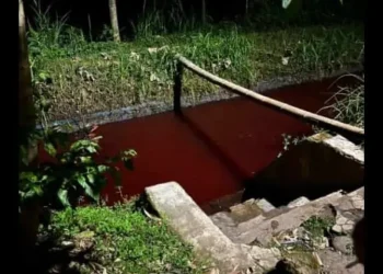 Sungai berwarna merah di Tumpang. Foto: dok. warga