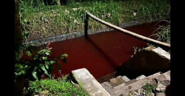Sungai berwarna merah di Tumpang. Foto: dok. warga