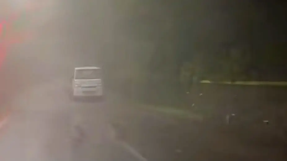 Tampak sejumlah monyet di jalur Cangar Kota Batu-Mojokerto turun ke jalan karena diberi makan oleh pengendara mobil. Foto: Tangkapan Layar @inijawatimur