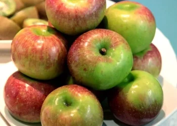 Olahan Kreatif Apel Malang, Patut Dicoba